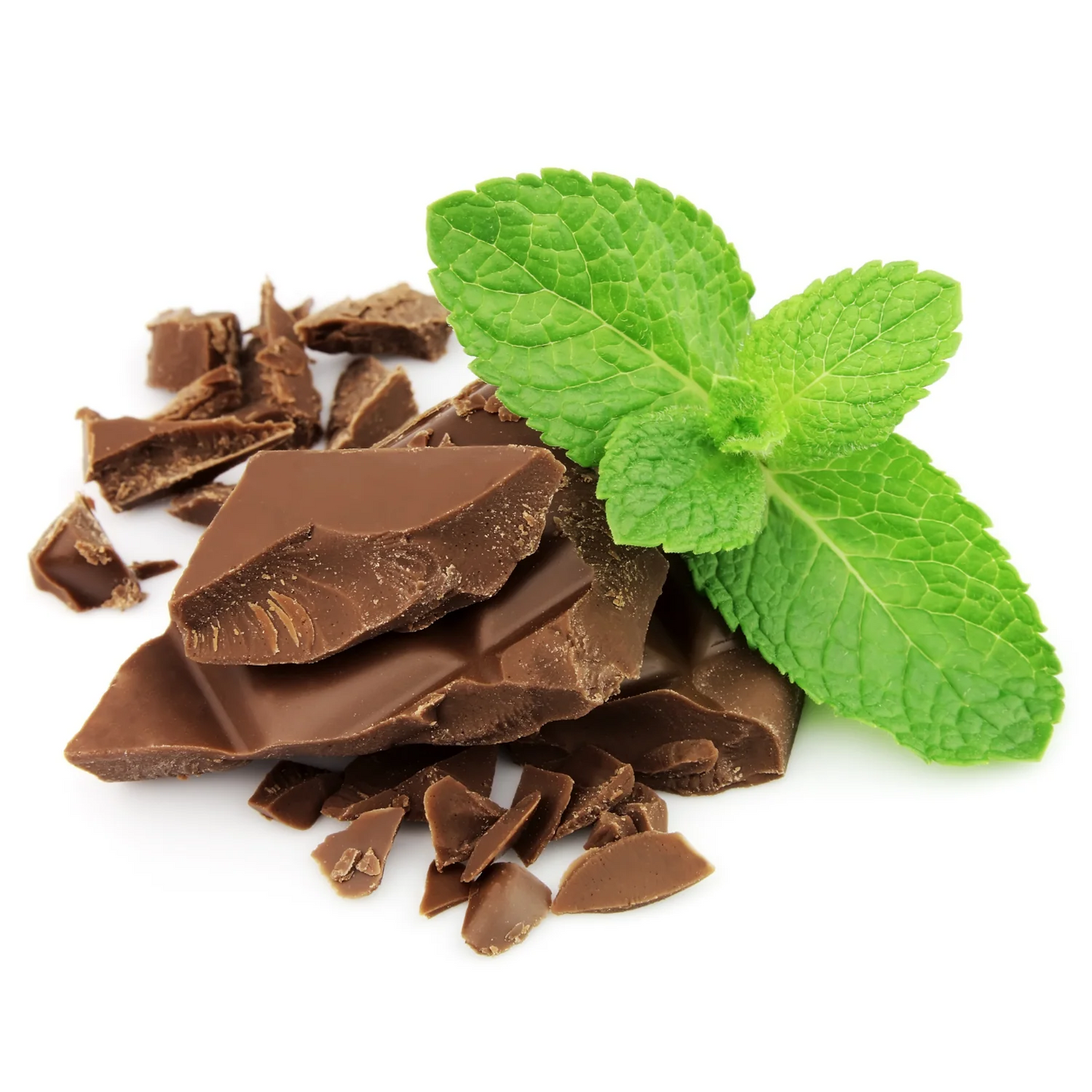 Chocolate Protein Powder