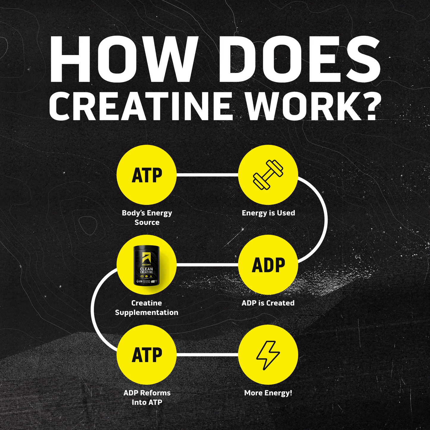 Clean Creatine - 100 Servings